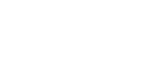 Viez Communication
